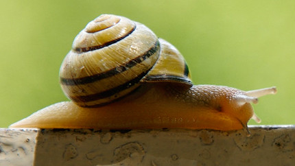 如何激励员工?答案只有简单一个词 - 人事\/文化