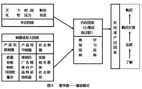 购买动机与购买行为的关系